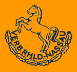Verband RL-Nassau